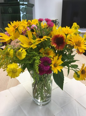 Titelbild: Geburtstag in Dessau, Halle und Magdeburg!